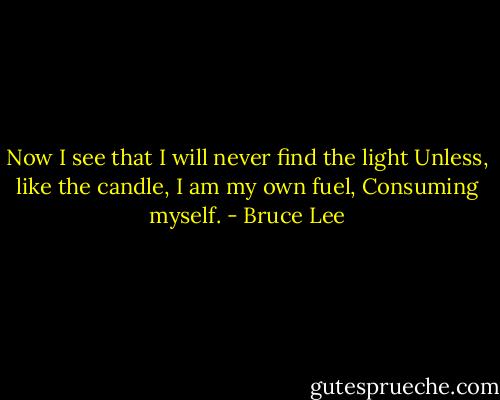 Now I see that I will never find the light<br />Unless, like the candle, I am my own fuel,<br />Consuming myself. - Bruce Lee