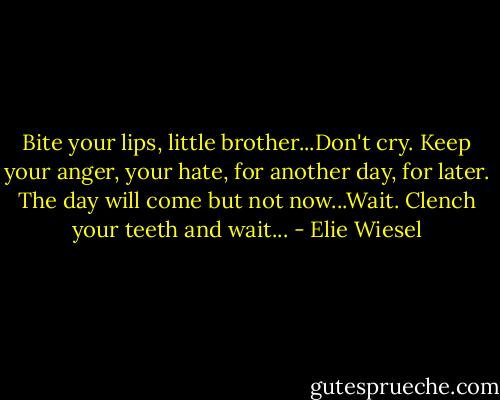 Bite your lips, little brother...Don't cry. Keep your anger, your hate, for another day, for later. The day will come but not now...Wait. Clench your teeth and wait... - Elie Wiesel