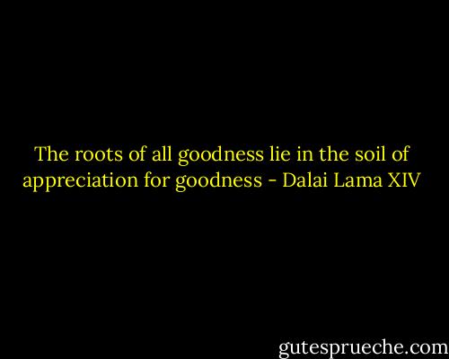 The roots of all goodness lie in the soil of appreciation for goodness - Dalai Lama XIV