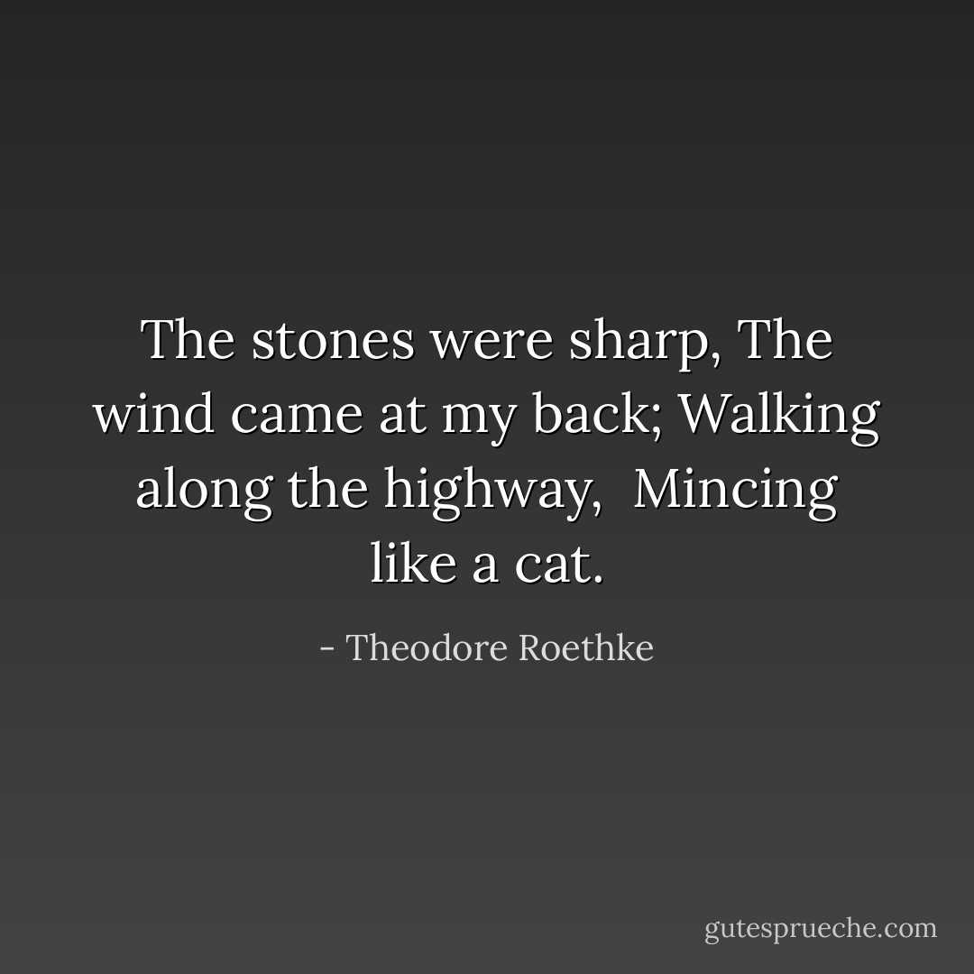 The stones were sharp,<br />The wind came at my back;<br />Walking along the highway, <br />Mincing like a cat. - Theodore Roethke
