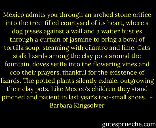Mexico admits you through an arched stone orifice into the tree-filled courtyard of its heart, where a dog pisses against a wall and a waiter hustles through a curtain of jasmine to bring a bowl of tortilla soup, steaming with cilantro and lime. Cats stalk lizards among the clay pots around the fountain, doves settle into the flowering vines and coo their prayers, thankful for the existence of lizards. The potted plants silently exhale, outgrowing their clay pots. Like Mexico's children they stand pinched and patient in last year's too-small shoes.  - Barbara Kingsolver