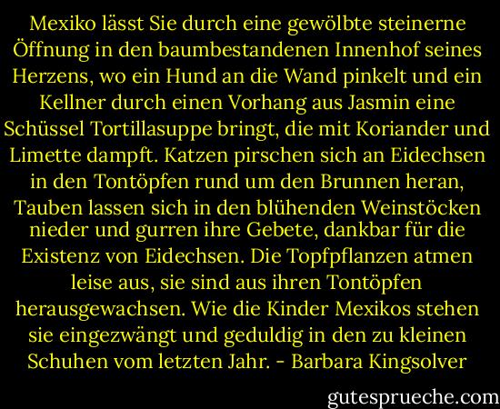 Mexiko lässt Sie durch eine gewölbte steinerne Öffnung in den baumbestandenen Innenhof seines Herzens, wo ein Hund an die Wand pinkelt und ein Kellner durch einen Vorhang aus Jasmin eine Schüssel Tortillasuppe bringt, die mit Koriander und Limette dampft. Katzen pirschen sich an Eidechsen in den Tontöpfen rund um den Brunnen heran, Tauben lassen sich in den blühenden Weinstöcken nieder und gurren ihre Gebete, dankbar für die Existenz von Eidechsen. Die Topfpflanzen atmen leise aus, sie sind aus ihren Tontöpfen herausgewachsen. Wie die Kinder Mexikos stehen sie eingezwängt und geduldig in den zu kleinen Schuhen vom letzten Jahr. - Barbara Kingsolver<