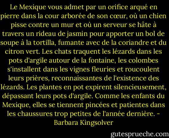 Le Mexique vous admet par un orifice arqué en pierre dans la cour arborée de son cœur, où un chien pisse contre un mur et où un serveur se hâte à travers un rideau de jasmin pour apporter un bol de soupe à la tortilla, fumante avec de la coriandre et du citron vert. Les chats traquent les lézards dans les pots d'argile autour de la fontaine, les colombes s'installent dans les vignes fleuries et roucoulent leurs prières, reconnaissantes de l'existence des lézards. Les plantes en pot expirent silencieusement, dépassant leurs pots d'argile. Comme les enfants du Mexique, elles se tiennent pincées et patientes dans les chaussures trop petites de l'année dernière. - Barbara Kingsolver