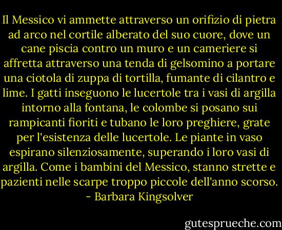 Il Messico vi ammette attraverso un orifizio di pietra ad arco nel cortile alberato del suo cuore, dove un cane piscia contro un muro e un cameriere si affretta attraverso una tenda di gelsomino a portare una ciotola di zuppa di tortilla, fumante di cilantro e lime. I gatti inseguono le lucertole tra i vasi di argilla intorno alla fontana, le colombe si posano sui rampicanti fioriti e tubano le loro preghiere, grate per l'esistenza delle lucertole. Le piante in vaso espirano silenziosamente, superando i loro vasi di argilla. Come i bambini del Messico, stanno strette e pazienti nelle scarpe troppo piccole dell'anno scorso. - Barbara Kingsolver