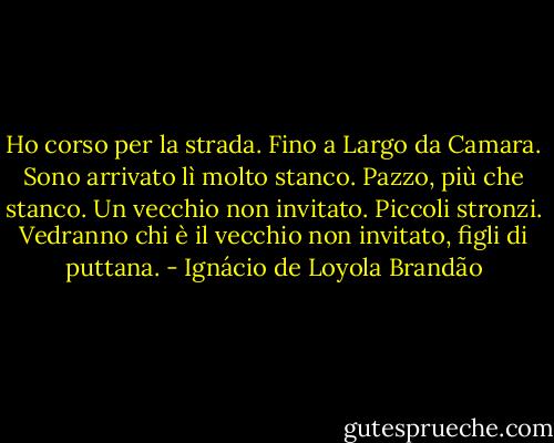 Ho corso per la strada. Fino a Largo da Camara. Sono arrivato lì molto stanco. Pazzo, più che stanco. Un vecchio non invitato. Piccoli stronzi. Vedranno chi è il vecchio non invitato, figli di puttana. - Ignácio de Loyola Brandão