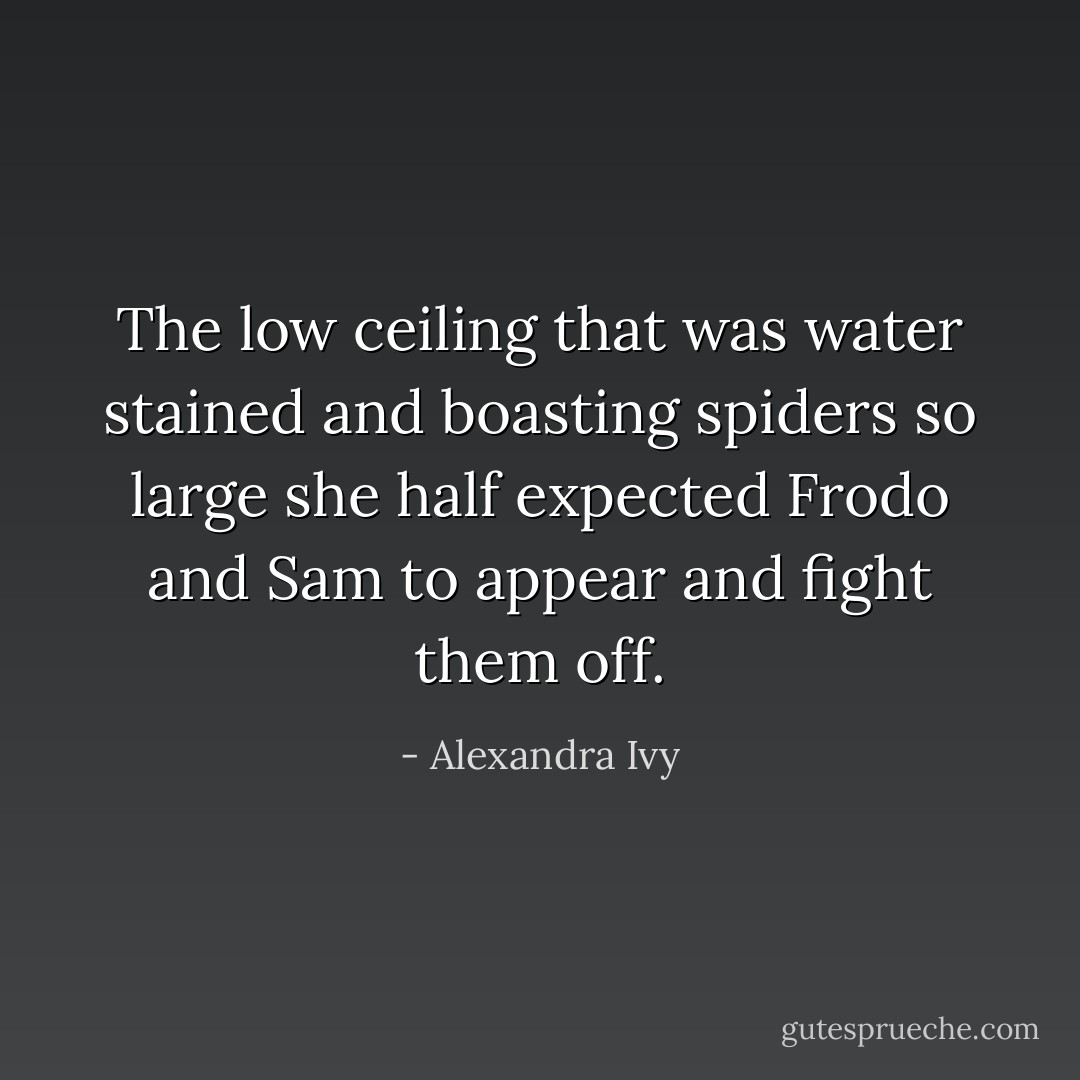 The low ceiling that was water stained and boasting spiders so large she half expected Frodo and Sam to appear and fight them off. - Alexandra Ivy