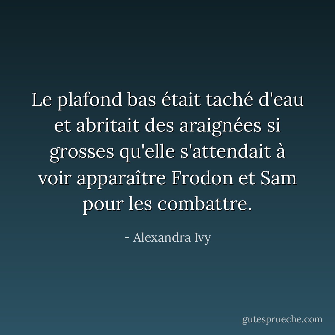 Le plafond bas était taché d'eau et abritait des araignées si grosses qu'elle s'attendait à voir apparaître Frodon et Sam pour les combattre. - Alexandra Ivy