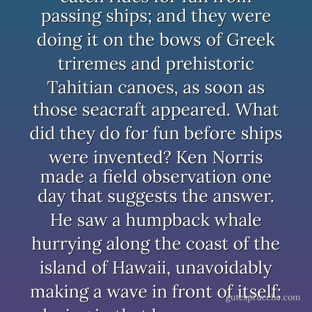 I couldn't help wondering where porpoises had learned this game of running on the bows of ships. Porpoises have been swimming in the oceans for seven to ten million years, but they've had human ships to play with for only the last few thousand. Yet nearly all porpoises, in every ocean, catch rides for fun from passing ships; and they were doing it on the bows of Greek triremes and prehistoric Tahitian canoes, as soon as those seacraft appeared. What did they do for fun before ships were invented?<br />Ken Norris made a field observation one day that suggests the answer. He saw a humpback whale hurrying along the coast of the island of Hawaii, unavoidably making a wave in front of itself; playing in that bow wave was a flock of bottlenose porpoises. The whale didn't seem to be enjoying it much: Ken said it looked like a horse being bothered by flies around its head; however, there was nothing much the whale could do about it, and the porpoises were having a fun time.  - Karen Pryor