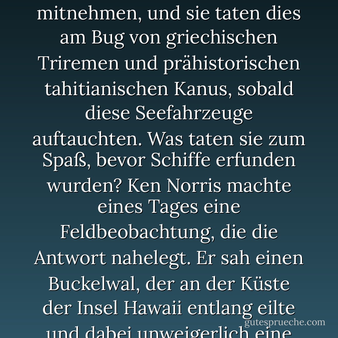 Ich konnte nicht umhin, mich zu fragen, woher die Schweinswale dieses Spiel, auf den Bug von Schiffen zu laufen, gelernt hatten. Schweinswale schwimmen seit sieben bis zehn Millionen Jahren in den Ozeanen, aber erst seit ein paar tausend Jahren haben sie menschliche Schiffe zum Spielen. Dennoch lassen sich fast alle Schweinswale in allen Ozeanen zum Spaß von vorbeifahrenden Schiffen mitnehmen, und sie taten dies am Bug von griechischen Triremen und prähistorischen tahitianischen Kanus, sobald diese Seefahrzeuge auftauchten. Was taten sie zum Spaß, bevor Schiffe erfunden wurden?<br />Ken Norris machte eines Tages eine Feldbeobachtung, die die Antwort nahelegt. Er sah einen Buckelwal, der an der Küste der Insel Hawaii entlang eilte und dabei unweigerlich eine Welle vor sich herschob; in dieser Bugwelle spielte eine Herde von Großen Tümmlern. Der Wal schien das nicht besonders zu genießen: Ken sagte, es sehe aus wie bei einem Pferd, das von Fliegen um den Kopf herum belästigt wird; aber der Wal konnte nichts dagegen tun, und die Schweinswale hatten ihren Spaß. - Karen Pryor<