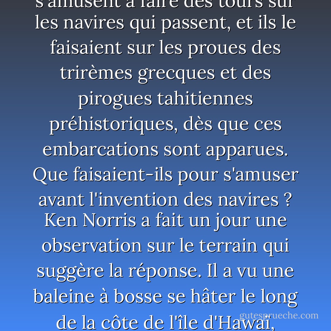 Je n'ai pas pu m'empêcher de me demander où les marsouins avaient appris ce jeu qui consiste à courir sur la proue des navires. Les marsouins nagent dans les océans depuis sept à dix millions d'années, mais ce n'est que depuis quelques milliers d'années qu'ils ont des navires humains pour s'amuser. Pourtant, presque tous les marsouins, dans tous les océans, s'amusent à faire des tours sur les navires qui passent, et ils le faisaient sur les proues des trirèmes grecques et des pirogues tahitiennes préhistoriques, dès que ces embarcations sont apparues. Que faisaient-ils pour s'amuser avant l'invention des navires ? Ken Norris a fait un jour une observation sur le terrain qui suggère la réponse. Il a vu une baleine à bosse se hâter le long de la côte de l'île d'Hawaï, créant inévitablement une vague devant elle ; une bande de marsouins à gros nez jouait dans cette vague. La baleine n'avait pas l'air de beaucoup s'amuser : Ken a dit qu'elle ressemblait à un cheval gêné par des mouches autour de sa tête ; cependant, la baleine ne pouvait pas y faire grand-chose, et les marsouins s'amusaient. - Karen Pryor