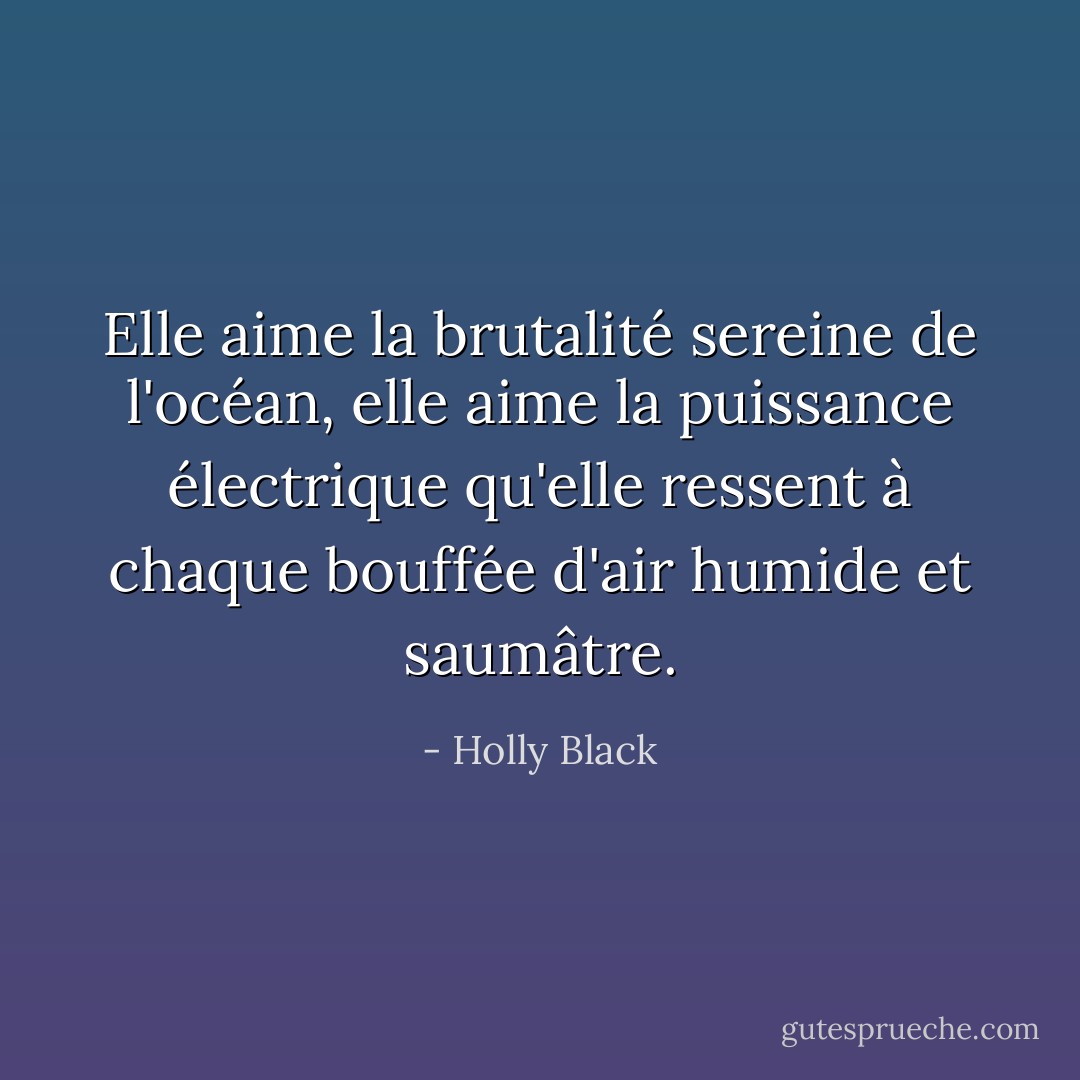 Elle aime la brutalité sereine de l'océan, elle aime la puissance électrique qu'elle ressent à chaque bouffée d'air humide et saumâtre. - Holly Black