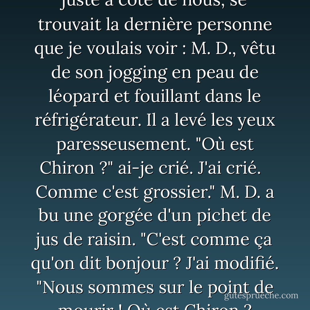 Et là, scintillant dans la brume juste à côté de nous, se trouvait la dernière personne que je voulais voir : M. D., vêtu de son jogging en peau de léopard et fouillant dans le réfrigérateur. Il a levé les yeux paresseusement. "Où est Chiron ?" ai-je crié. J'ai crié. <br /><br />Comme c'est grossier." M. D. a bu une gorgée d'un pichet de jus de raisin. "C'est comme ça qu'on dit bonjour ? J'ai modifié. "Nous sommes sur le point de mourir ! Où est Chiron ? - Rick Riordan