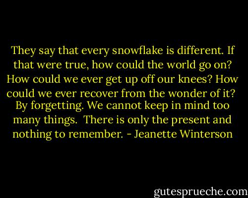 They say that every snowflake is different. If that were true, how could the world go on? How could we ever get up off our knees? How could we ever recover from the wonder of it?<br /><br />By forgetting. We cannot keep in mind too many things.<br /> There is only the present and nothing to remember. - Jeanette Winterson