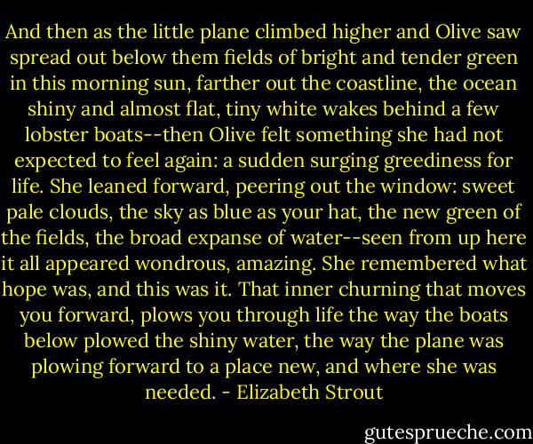 And then as the little plane climbed higher and Olive saw spread out below them fields of bright and tender green in this morning sun, farther out the coastline, the ocean shiny and almost flat, tiny white wakes behind a few lobster boats--then Olive felt something she had not expected to feel again: a sudden surging greediness for life. She leaned forward, peering out the window: sweet pale clouds, the sky as blue as your hat, the new green of the fields, the broad expanse of water--seen from up here it all appeared wondrous, amazing. She remembered what hope was, and this was it. That inner churning that moves you forward, plows you through life the way the boats below plowed the shiny water, the way the plane was plowing forward to a place new, and where she was needed. - Elizabeth Strout