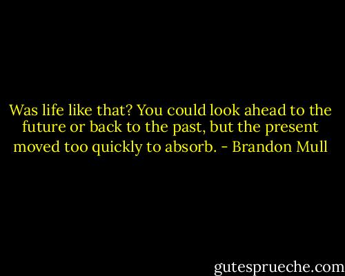 Was life like that? You could look ahead to the future or back to the past, but the present moved too quickly to absorb. - Brandon Mull