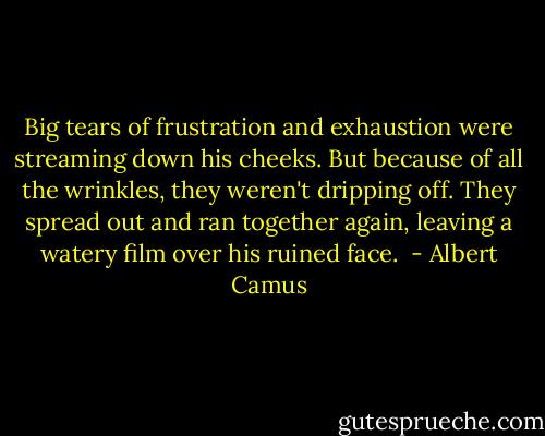 Big tears of frustration and exhaustion were streaming down his cheeks. But because of all the wrinkles, they weren't dripping off. They spread out and ran together again, leaving a watery film over his ruined face.  - Albert Camus