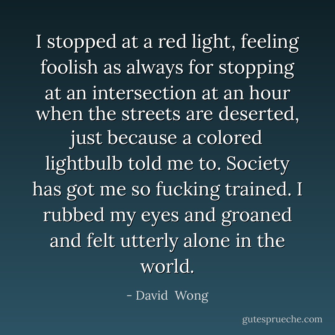I stopped at a red light, feeling foolish as always for stopping at an intersection at an hour when the streets are deserted, just because a colored lightbulb told me to. Society has got me so fucking trained. I rubbed my eyes and groaned and felt utterly alone in the world. - David  Wong