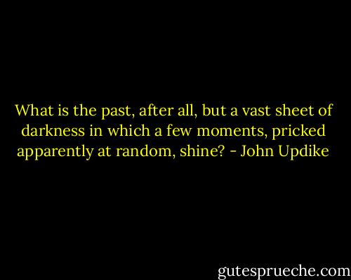 What is the past, after all, but a vast sheet of darkness in which a few moments, pricked apparently at random, shine? - John Updike