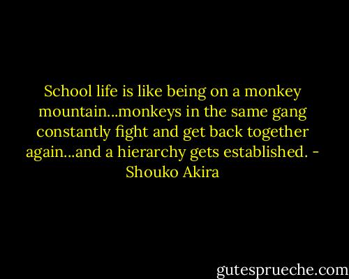 School life is like being on a monkey mountain...monkeys in the same gang constantly fight and get back together again...and a hierarchy gets established. - Shouko Akira