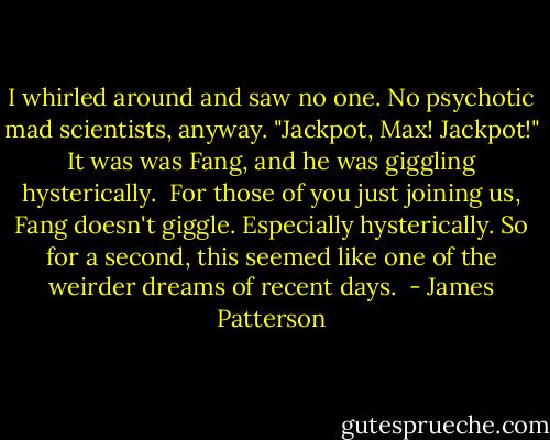 I whirled around and saw no one. No psychotic mad scientists, anyway.<br />"Jackpot, Max! Jackpot!" It was was Fang, and he was giggling hysterically. <br />For those of you just joining us, Fang doesn't giggle. Especially hysterically.<br />So for a second, this seemed like one of the weirder dreams of recent days.  - James Patterson