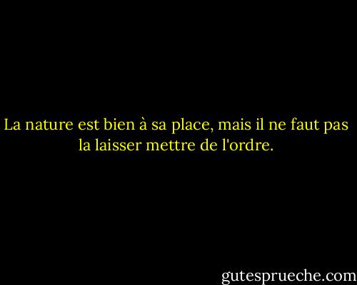La nature est bien à sa place, mais il ne faut pas la laisser mettre de l'ordre. - Stella Gibbons
