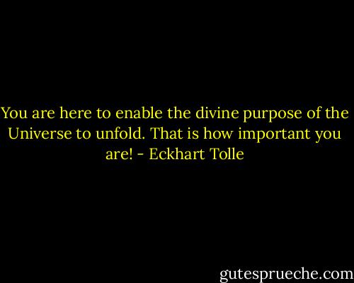 You are here to enable the divine purpose of the Universe to unfold. That is how important you are! - Eckhart Tolle