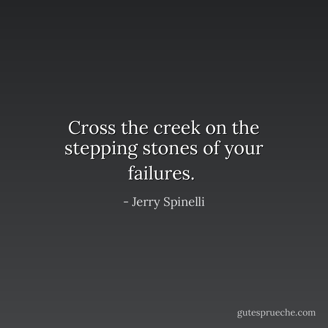 Cross the creek on the stepping stones of your failures.  - Jerry Spinelli