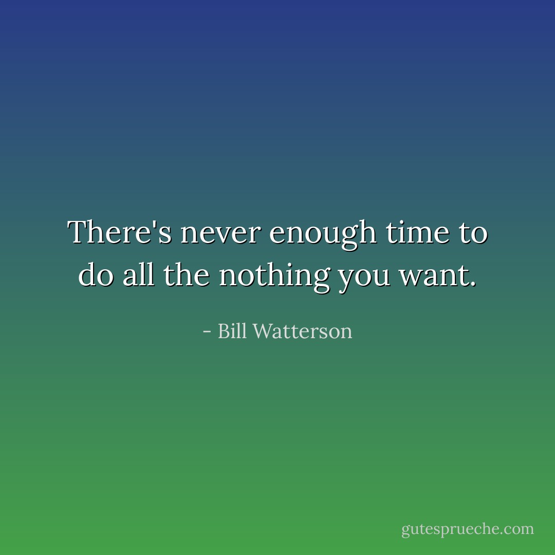 There's never enough time to do all the nothing you want. - Bill Watterson