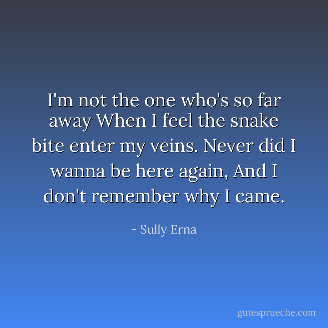I'm not the one who's so far away<br />When I feel the snake bite enter my veins.<br />Never did I wanna be here again,<br />And I don't remember why I came. - Sully Erna