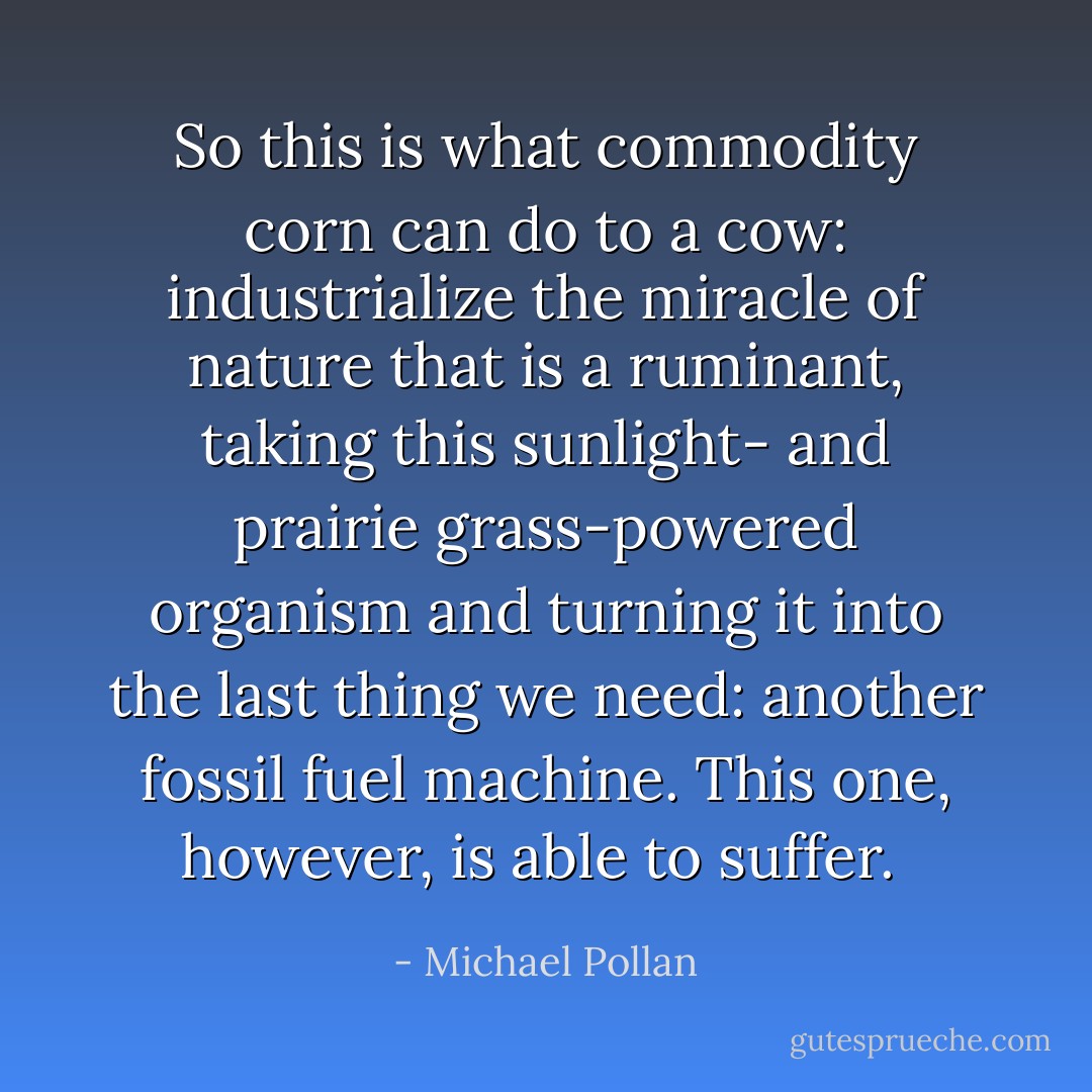 So this is what commodity corn can do to a cow: industrialize the miracle of nature that is a ruminant, taking this sunlight- and prairie grass-powered organism and turning it into the last thing we need: another fossil fuel machine. This one, however, is able to suffer.  - Michael Pollan