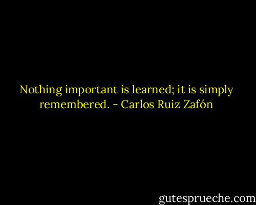 Nothing important is learned; it is simply remembered. - Carlos Ruiz Zafón