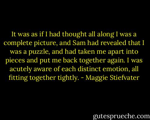 It was as if I had thought all along I was a complete picture, and Sam had<br />revealed that I was a puzzle, and had taken me apart into pieces and put me back together<br />again. I was acutely aware of each distinct emotion, all fitting together tightly. - Maggie Stiefvater