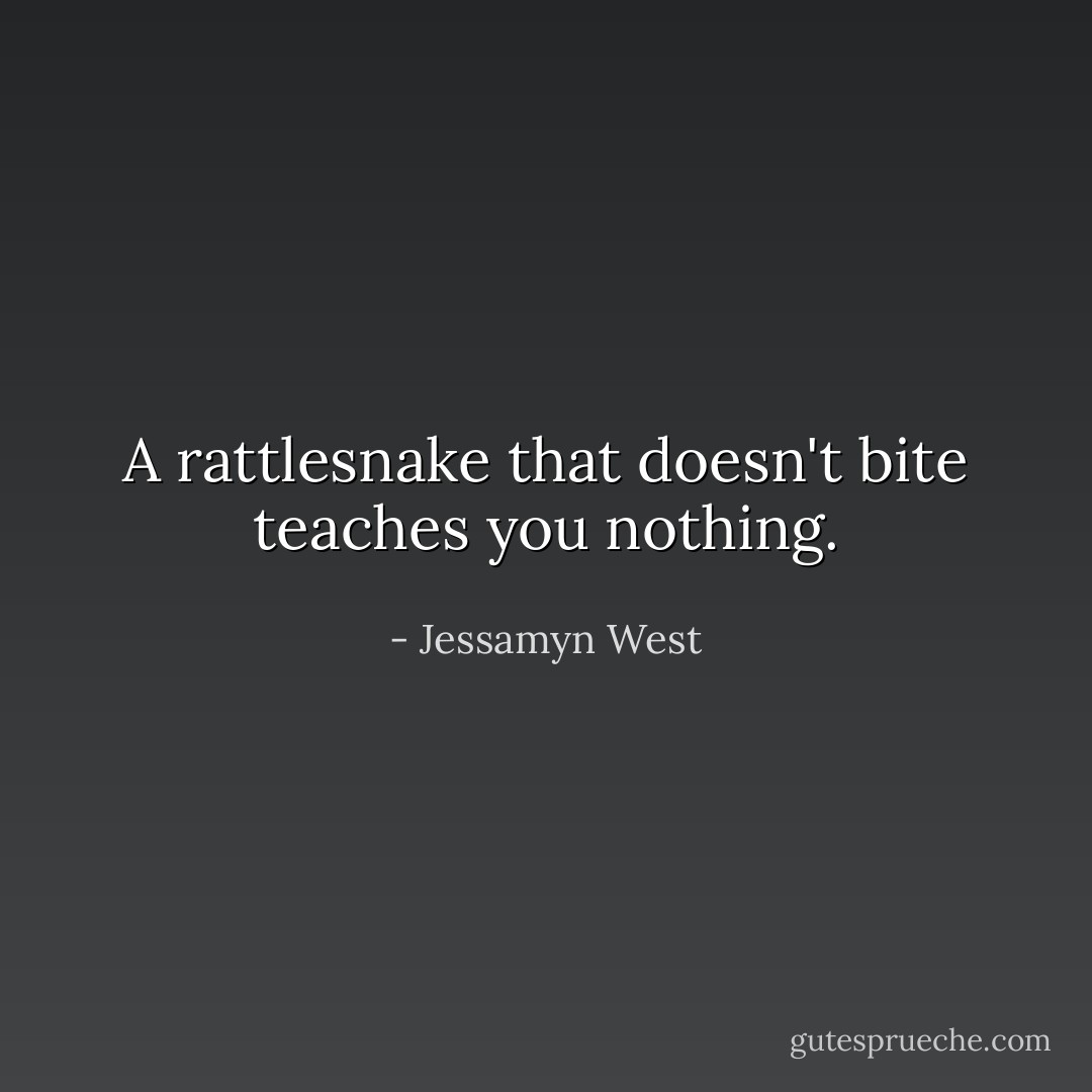 A rattlesnake that doesn't bite teaches you nothing. - Jessamyn West