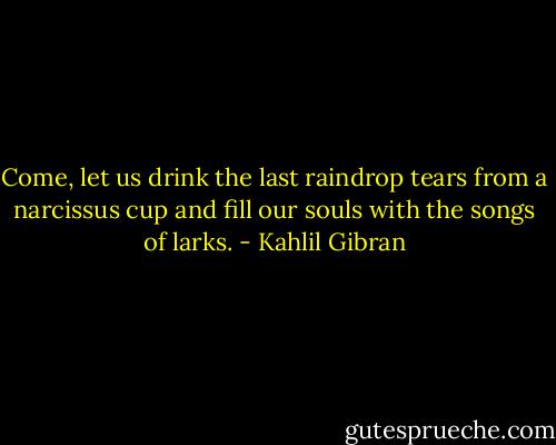 Come, let us drink the last raindrop tears from a narcissus cup and fill our souls with the songs of larks. - Kahlil Gibran