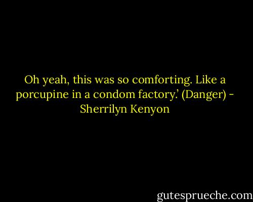Oh yeah, this was so comforting. Like a porcupine in a condom factory.’ (Danger) - Sherrilyn Kenyon
