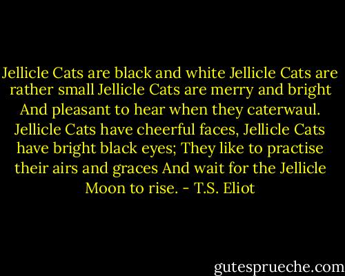 Jellicle Cats are black and white<br />Jellicle Cats are rather small<br />Jellicle Cats are merry and bright<br />And pleasant to hear when they caterwaul.<br />Jellicle Cats have cheerful faces,<br />Jellicle Cats have bright black eyes;<br />They like to practise their airs and graces<br />And wait for the Jellicle Moon to rise. - T.S. Eliot
