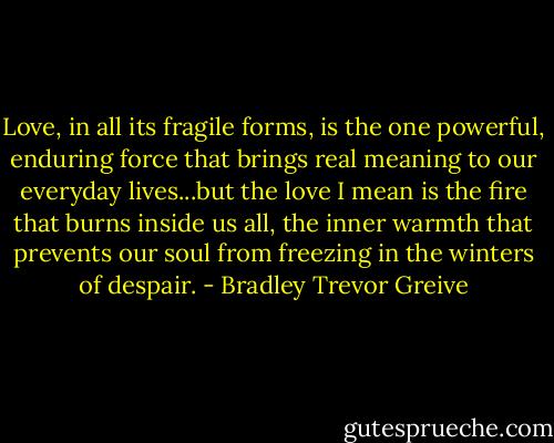 Love, in all its fragile forms, is the one powerful, enduring force that brings real meaning to our everyday lives...but the love I mean is the fire that burns inside us all, the inner warmth that prevents our soul from freezing in the winters of despair. - Bradley Trevor Greive