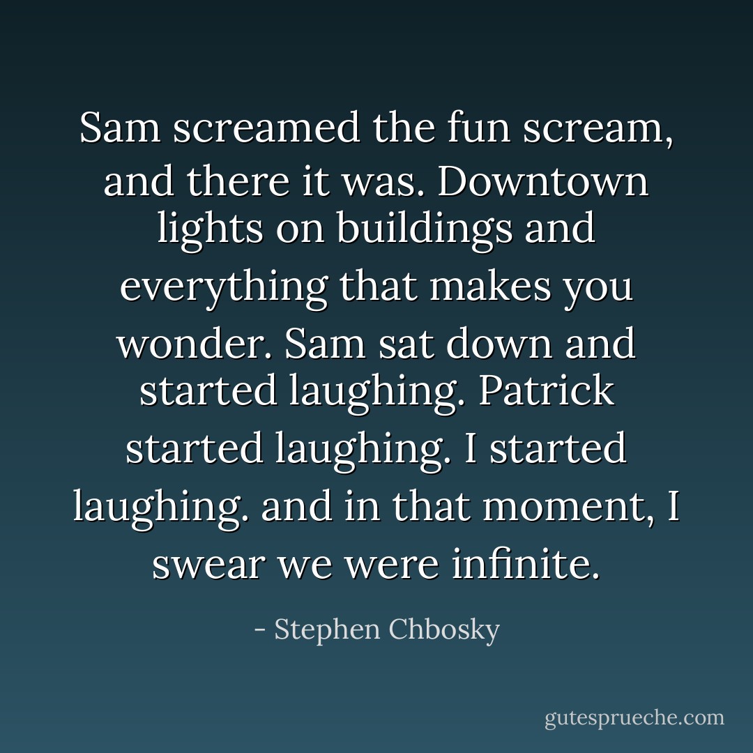Sam screamed the fun scream, and there it was. Downtown lights on buildings and everything that makes you wonder. Sam sat down and started laughing. Patrick started laughing. I started laughing. and in that moment, I swear we were infinite. - Stephen Chbosky