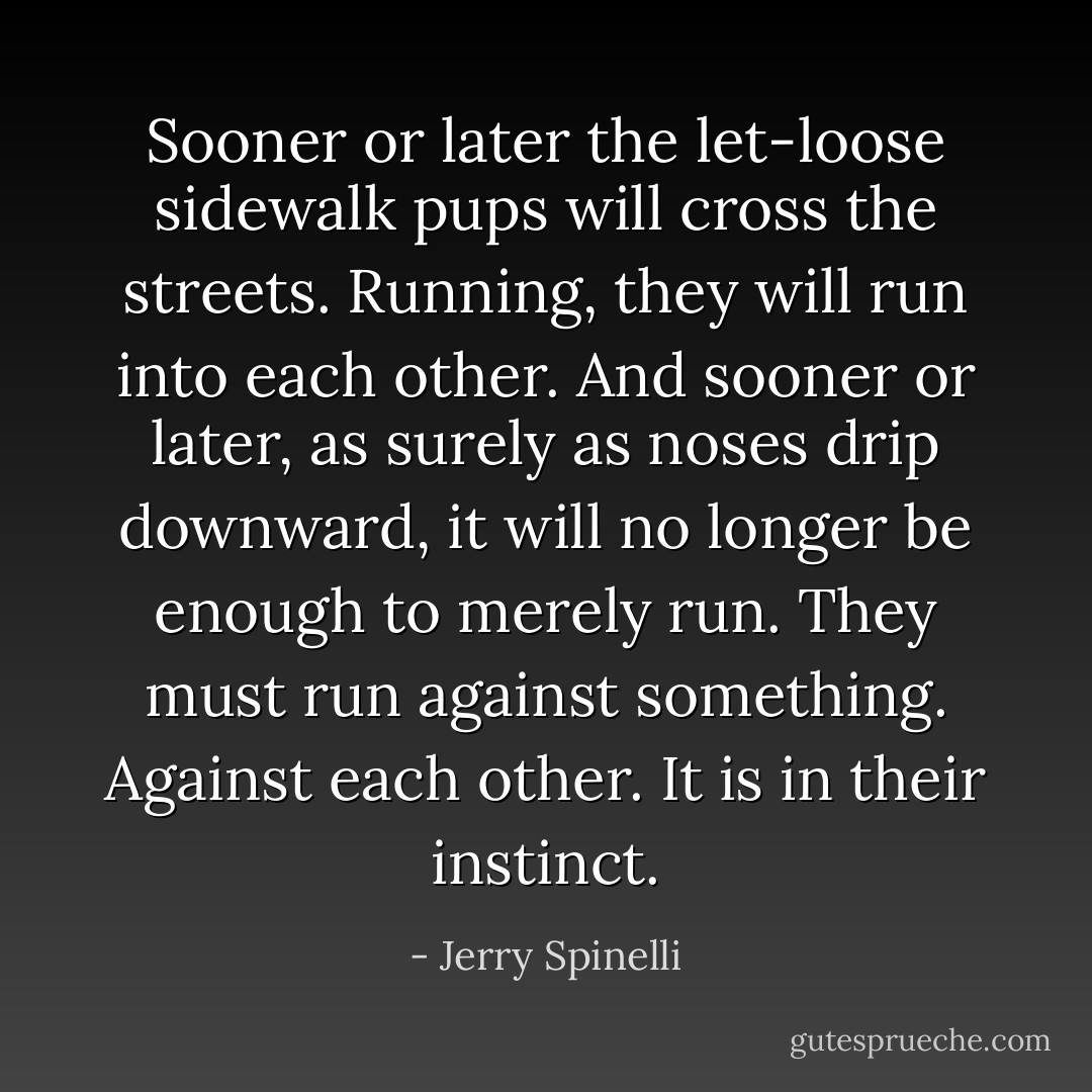 Sooner or later the let-loose sidewalk pups will cross the streets. Running, they will run into each other. And sooner or later, as surely as noses drip downward, it will no longer be enough to merely run. They must run against something. Against each other. It is in their instinct. - Jerry Spinelli