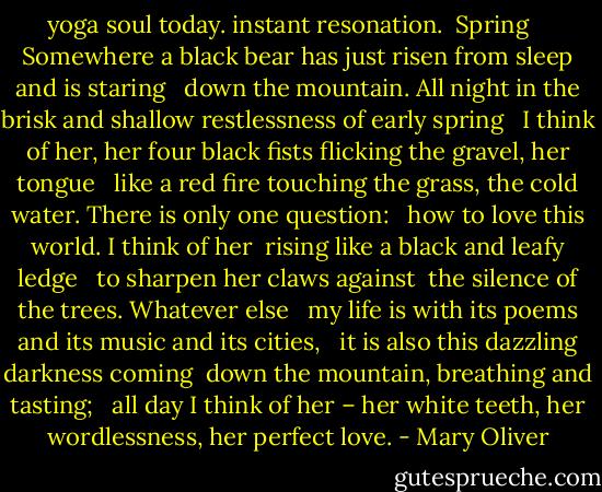 yoga soul today. instant resonation.<br /><br />Spring <br /> <br />Somewhere<br />a black bear<br />has just risen from sleep<br />and is staring<br /> <br />down the mountain.<br />All night<br />in the brisk and shallow restlessness<br />of early spring<br /> <br />I think of her,<br />her four black fists<br />flicking the gravel,<br />her tongue<br /> <br />like a red fire<br />touching the grass,<br />the cold water.<br />There is only one question:<br /> <br />how to love this world.<br />I think of her <br />rising<br />like a black and leafy ledge<br /> <br />to sharpen her claws against <br />the silence<br />of the trees.<br />Whatever else<br /> <br />my life is<br />with its poems<br />and its music<br />and its cities,<br /> <br />it is also this dazzling darkness<br />coming <br />down the mountain,<br />breathing and tasting;<br /> <br />all day I think of her –<br />her white teeth,<br />her wordlessness,<br />her perfect love. - Mary Oliver