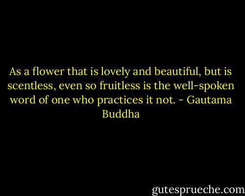 As a flower that is lovely and beautiful, but is scentless, even so fruitless is the well-spoken word of one who practices it not. - Gautama Buddha