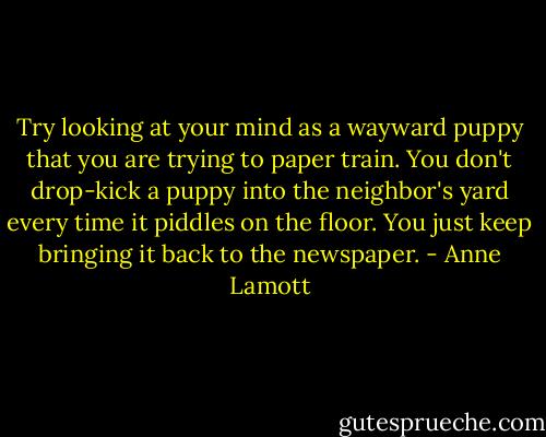 Try looking at your mind as a wayward puppy that you are trying to paper train. You don't drop-kick a puppy into the neighbor's yard every time it piddles on the floor. You just keep bringing it back to the newspaper. - Anne Lamott
