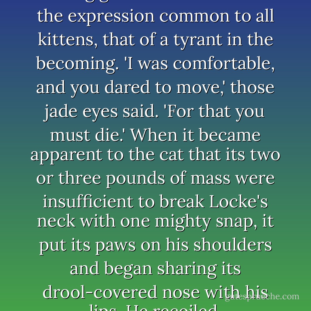 Mew," the kitten retorted, locking gazes with him. It had the expression common to all kittens, that of a tyrant in the becoming. 'I was comfortable, and you dared to move,' those jade eyes said. 'For that you must die.' When it became apparent to the cat that its two or three pounds of mass were insufficient to break Locke's neck with one mighty snap, it put its paws on his shoulders and began sharing its drool-covered nose with his lips. He recoiled. - Scott Lynch