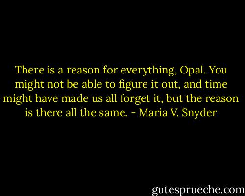 There is a reason for everything, Opal. You might not be able to figure it out, and time might have made us all forget it, but the reason is there all the same. - Maria V. Snyder