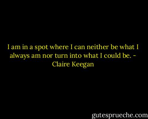 I am in a spot where I can neither be what I always am nor turn into what I could be. - Claire Keegan