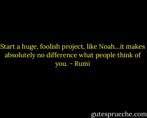 Start a huge, foolish project, like Noah…it makes absolutely no difference what people think of you. - Rumi