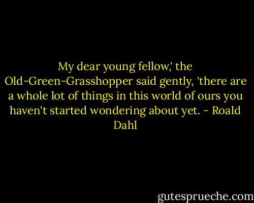 My dear young fellow,' the Old-Green-Grasshopper said gently, 'there are a whole lot of things in this world of ours you haven't started wondering about yet. - Roald Dahl