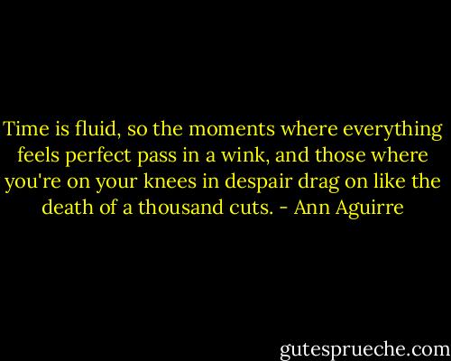 Time is fluid, so the moments where everything feels perfect pass in a wink, and those where you're on your knees in despair drag on like the death of a thousand cuts. - Ann Aguirre
