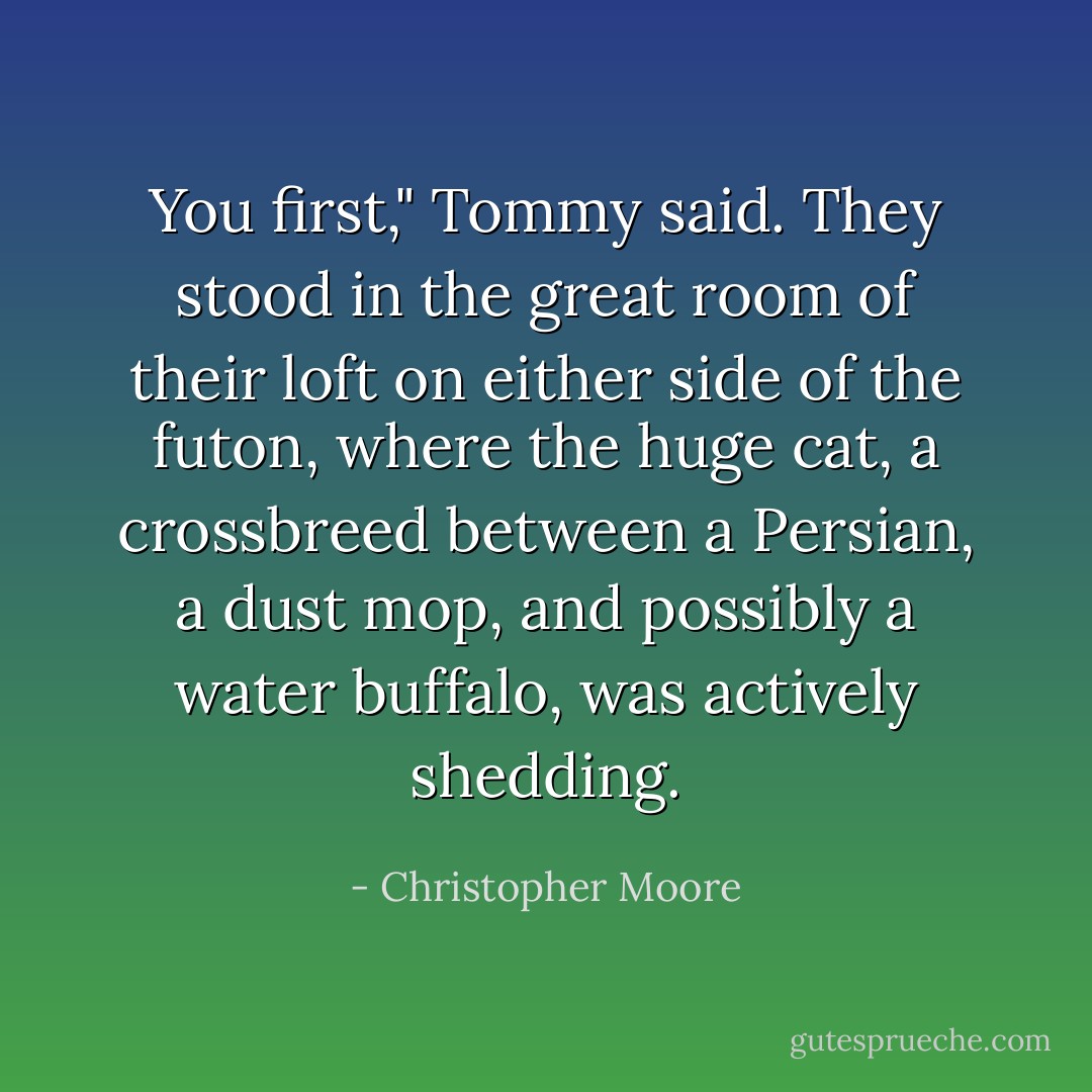 You first," Tommy said. They stood in the great room of their loft on either side of the futon, where the huge cat, a crossbreed between a Persian, a dust mop, and possibly a water buffalo, was actively shedding. - Christopher Moore