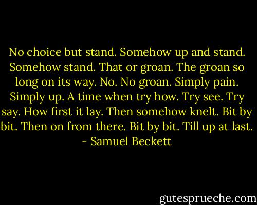 No choice but stand. Somehow up and stand. Somehow stand. That or groan. The groan so long on its way. No. No groan. Simply pain. Simply up. A time when try how. Try see. Try say. How first it lay. Then somehow knelt. Bit by bit. Then on from there. Bit by bit. Till up at last. - Samuel Beckett
